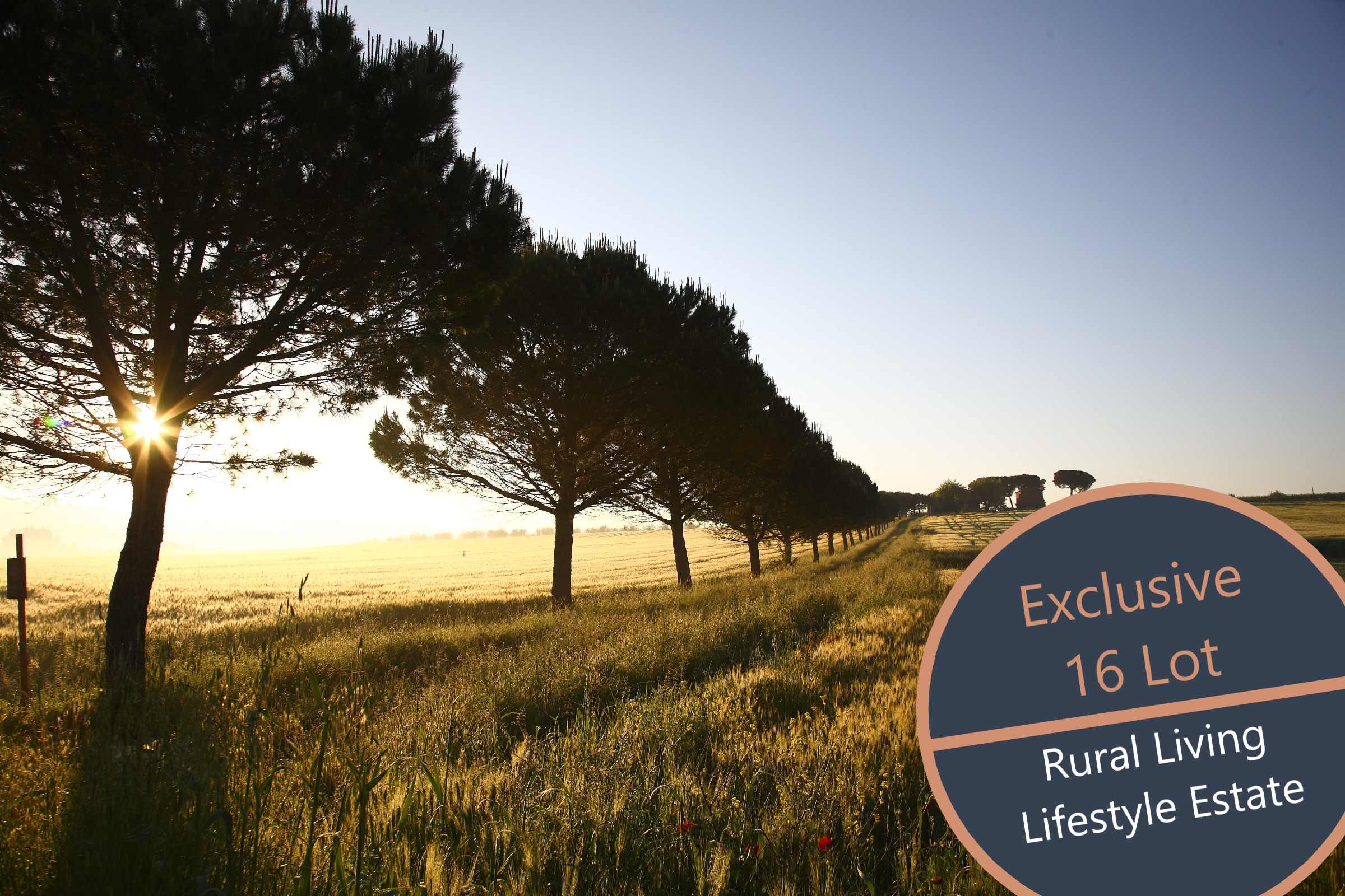 [Land for Sale] Greenlands Meadows Estate, West Pinjarra OpenLot